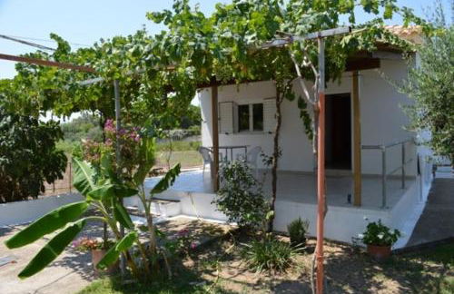 Theodore Apartments - Foto 21