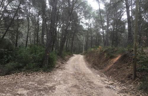 Gites Velaux Ecureuil et Pinède - Photo 20