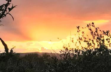 Babas rooms - Foto 28