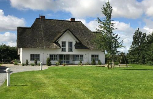 Großer Wattläufer - Foto 20