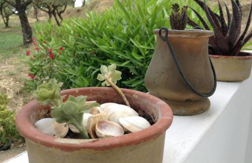 Smile's Studios - Photo 75