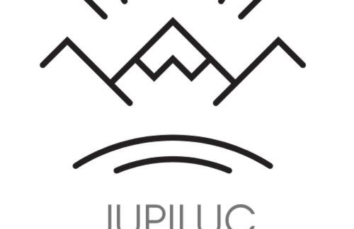 JUPILUC-PILA Studio 56 CIR 0064 - Foto 15