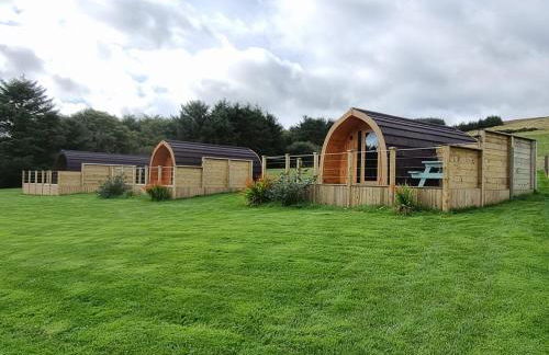 Lilly's Lodges Orkney Robin Lodge - Photo 14