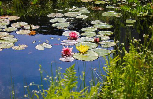 An der Hainmühle - Foto 28