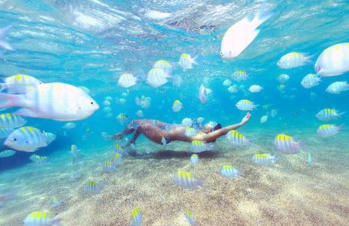 Apê 1: Pé na Areia Maragogi - O Caribe Brasileiro - Foto 41