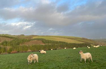 Daphne's Lodge - Foto 25