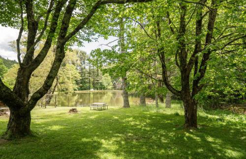 Clementine Cottage at Doe Creek - Foto 22
