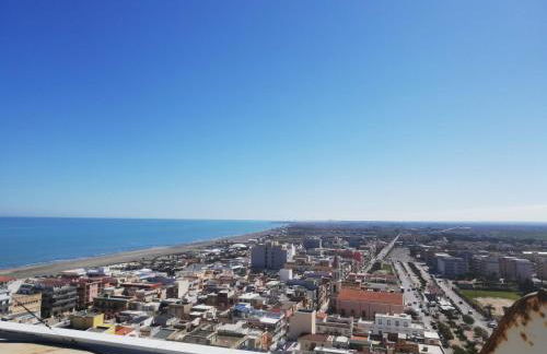 Fenicottero Rosa - Foto 45