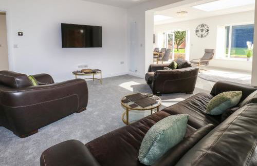 Copper Coin - Foto 14