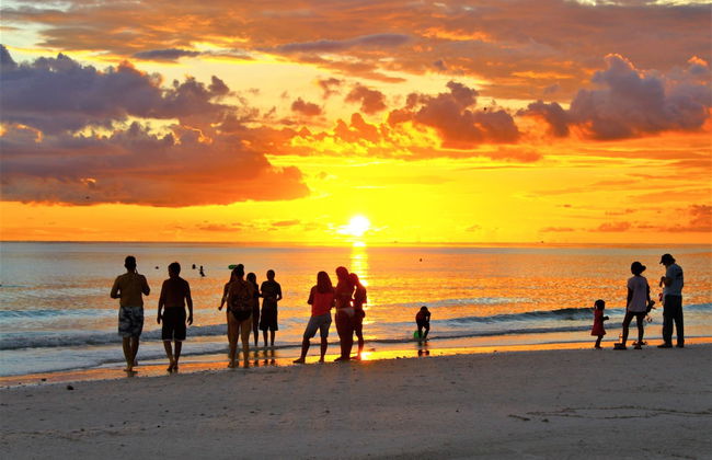 Siesta Palms By the Beach - Photo 71