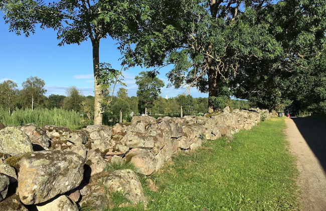 Tingsryd Resort - Foto 54