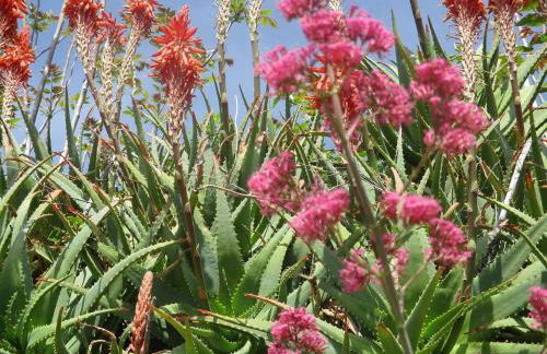 A marina on Bussana Sanremo seaside - Foto 60