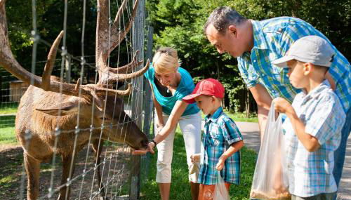 mein-schlafplatz - Leben - Arbeiten - Wohnen - Foto 5