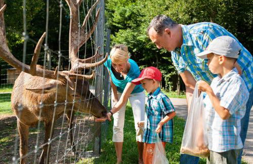 mein-schlafplatz - Leben - Arbeiten - Wohnen - Foto 5