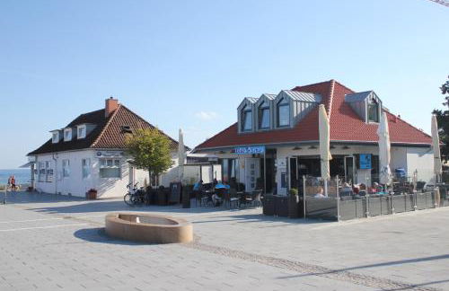 Silbermöwe im Kirschgarten - Foto 45