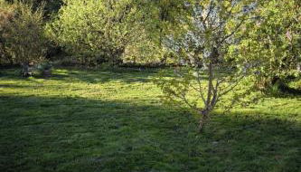 Apartment Sander by Interhome - Foto 4