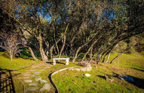 Fairy Tale 13-acre Sunset Villa at Windy Gap Valley near Yosemite - Foto 79