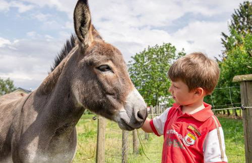 Obst- und Ferienhof Gomeringer - Foto 9