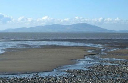 28 The Beeches - Foto 25