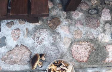 Sosnówka - dom wypoczynkowy na Kurpiach - Foto 39