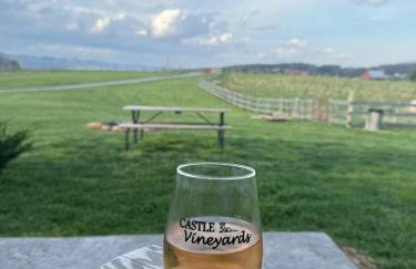 The Firefly Lodge at ShenandoahHot Tub~ View~Pets - Foto 15