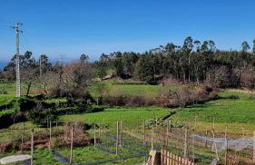 Casa Na Serra - Alagoa Blue - Foto 4