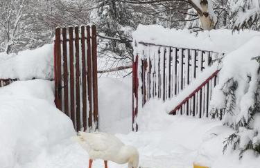 Beskidzka Ostoja - Foto 30