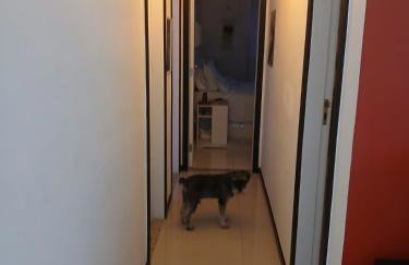 nao esta disponivel - Photo 7