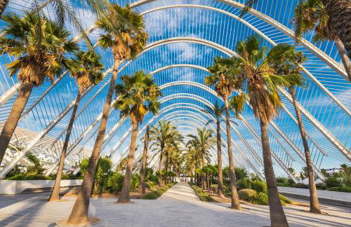 Aroma D’Valencia Apartment - Photo 26