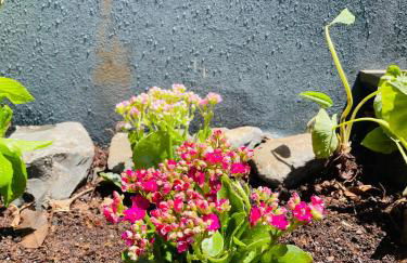 The Farm House.23 - Foto 33