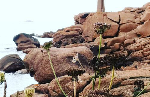 Villa l'hermine Vue mer exceptionnelle, prestation luxe contemporaine avec cinema et spa, borne voit électrique - Foto 46