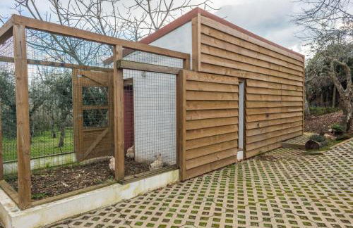 Casa De Santo Antão - Turismo Rural - Foto 22