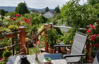 Appartment Fasanenhof Klinikum und Uni nah mit Netflix - Foto 39