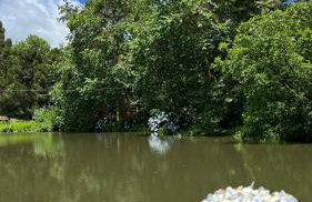 Cabanas Jardim de Tereza - Foto 66