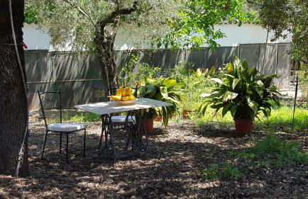 Finca Sa Cova de Mallorca - Foto 44