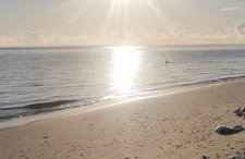 Lucy teles - Foto 31