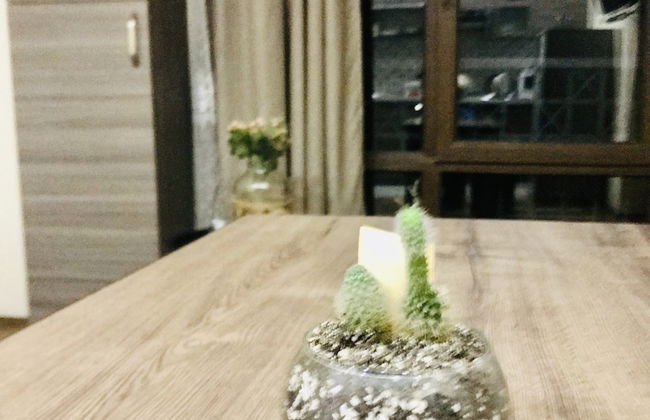 My flat near METEKHI - Foto 29