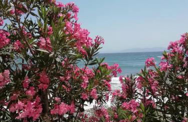 ''Sea front'' Rose's house - Foto 7