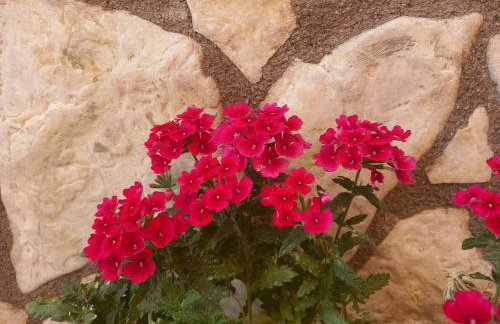 Apartment Gajo with swimming pool near Split - Photo 17