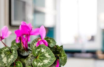 Ca Sa Padrina by LOCALITE - Foto 29