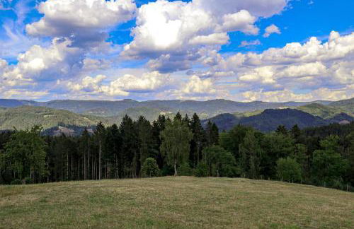 Ferienwohnung Holiswald - Foto 19