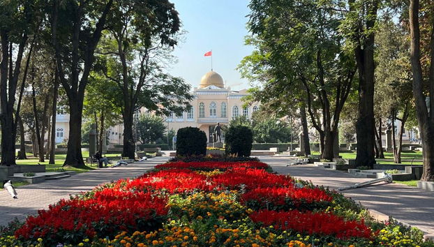 Jardines de Oak Park