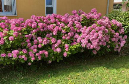 Residenza Viel - Foto 53