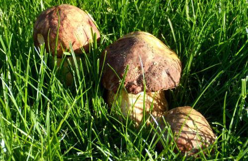 Casa rural cal Rei - Foto 131