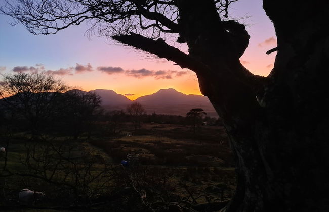 Rhiw Goch Inn Holiday Home - Photo 20