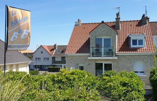 Le bélouga - Foto 17