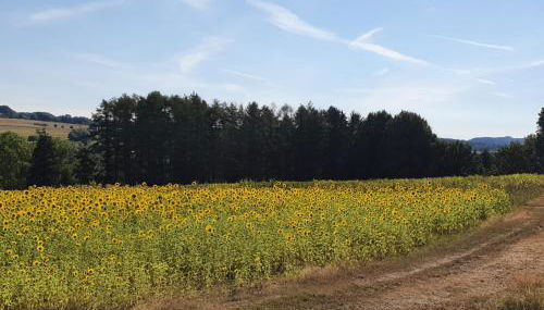Ferienwohnung im Siebengebirge nähe Köln/Bonn - Foto 2