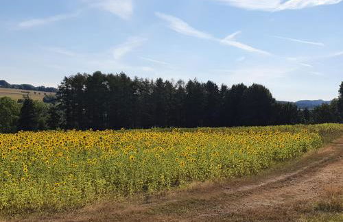 Ferienwohnung im Siebengebirge nähe Köln/Bonn - Foto 2