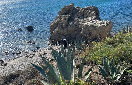 Appartement dans les jardins tropicaux - Photo 15