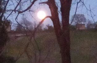 La Cascina di Muttley - Foto 59